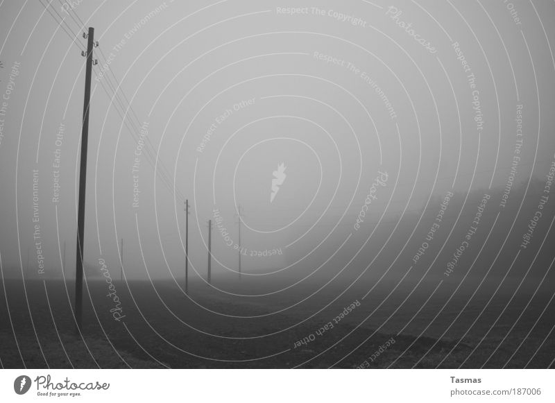 foggy days Landscape Autumn Fog Field Forest Gray Caution Serene Boredom Calm Electricity High voltage power line Black & white photo Exterior shot Deserted