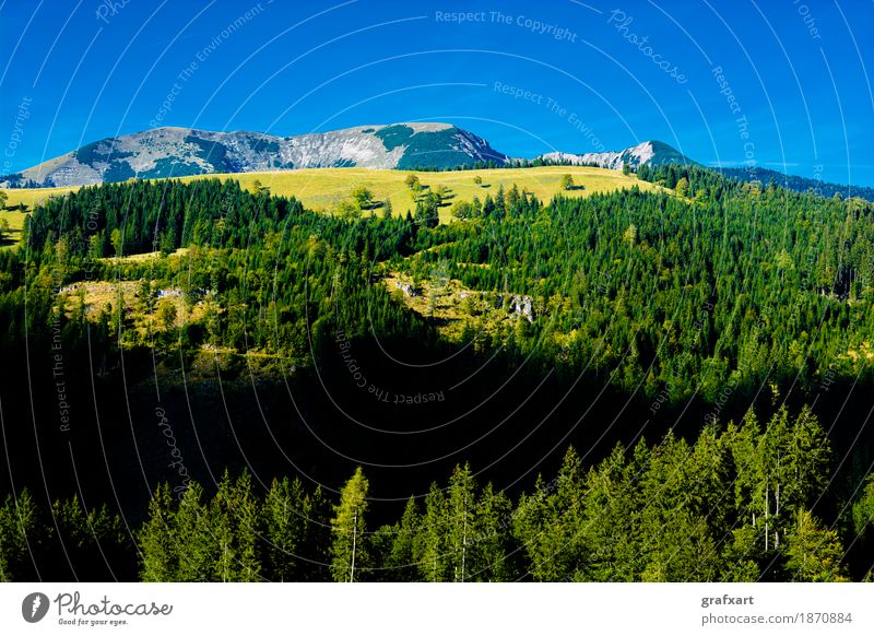 Alpine landscape with mountains and forests in Austria Landscape Mountain Alps Forest Vantage point Loneliness preservation Relaxation Rock Forestry Sky Tall