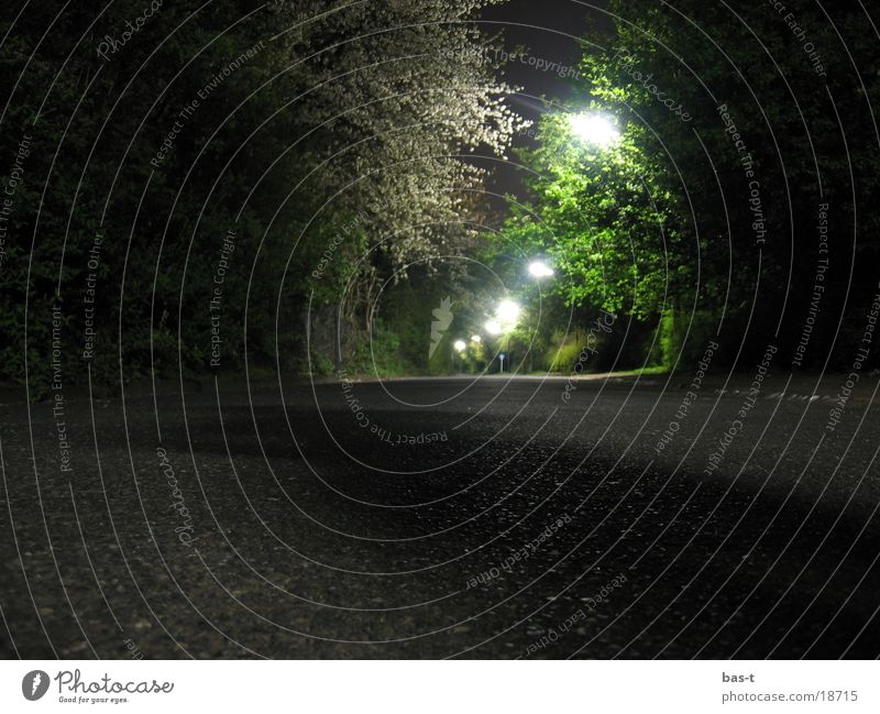 Lonely paths at night Cologne Night Long exposure Glittering Light Loneliness Green Europe Lanes & trails