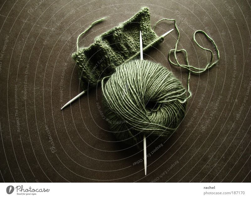 Nur für Geduldige... Relaxation Leisure and hobbies Handcrafts Knit Cuddly Warmth Unique specimen Make Wool Dry goods Knot Knitting needle Loop Scarf Patient