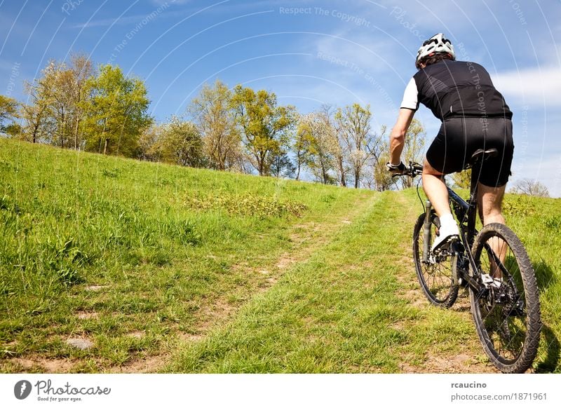 Mountain bike cyclist riding uphill along a country road Relaxation Summer Sports Man Adults Landscape Tree Grass Leaf Meadow Jacket Fitness Green Black