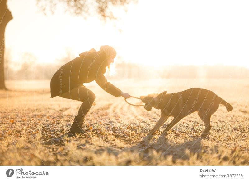 rampage Human being Feminine Young woman Youth (Young adults) Woman Adults Life 1 Environment Nature Landscape Sun Sunrise Sunset Sunlight Autumn Winter