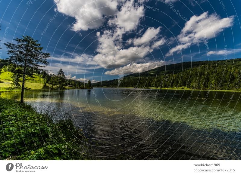 Ferchensee Swimming & Bathing Vacation & Travel Freedom Summer vacation Mountain Hiking Environment Nature Landscape Plant Water Sky Clouds Beautiful weather