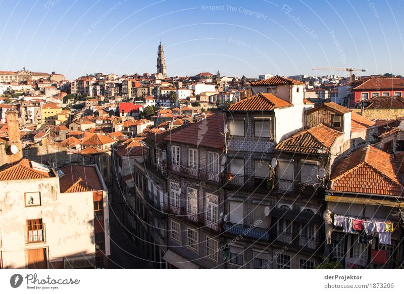 Good morning Porto Vacation & Travel Tourism Trip Sightseeing City trip Summer vacation Port City Downtown House (Residential Structure) Church
