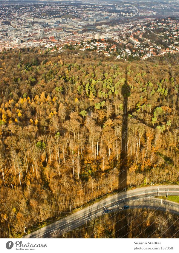 not a doughnut! Vacation & Travel Tourism Sightseeing City trip Stuttgart Town Tower Monument Forest Edge of the forest Autumn Automn wood Autumnal colours