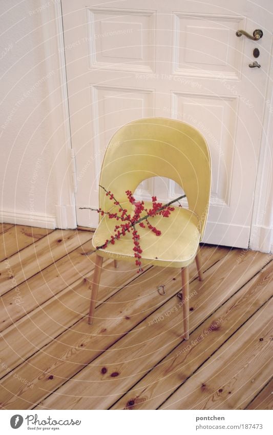 Home II Style Design Flat (apartment) Arrange Interior design Furniture Chair Nature Plant Wild plant Wood Leather Old Esthetic Authentic Yellow Door Retro