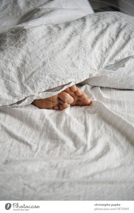 easy like sunday morning Living or residing Flat (apartment) Bed Bedroom Feminine Woman Adults Feet 1 Human being Sleep Barefoot Blanket Duvet Lie Toes Sheet