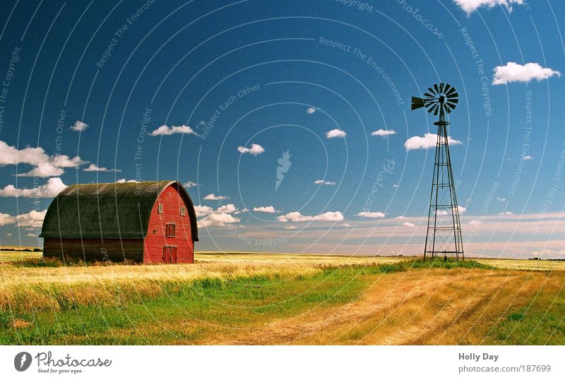 Probably the only red barn in (Western) Canada Agriculture Barn Wind energy plant Energy industry Landscape Sky Clouds Summer Beautiful weather Grass