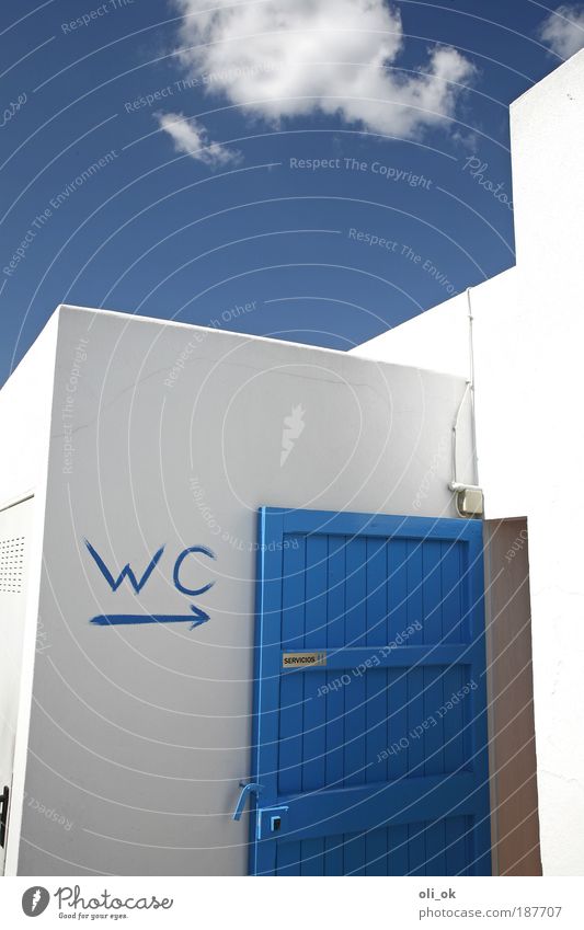 quiet place Bathroom Wall (barrier) Wall (building) Door Sign Cleanliness Whimsical Toilet Blue Colour photo Exterior shot Deserted Copy Space top Day