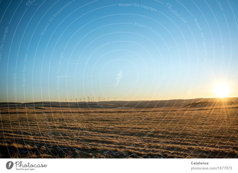 Energies, sun and wind turbines on the horizon Winter Hiking Technology Wind energy plant Environment Landscape Sky Sun Sunlight Moon Beautiful weather Grass