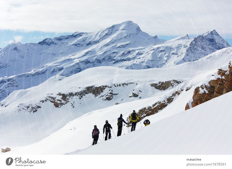 A group of freeriders over a snowy mountain landscape. Vacation & Travel Winter Snow Mountain Sports Skiing Boy (child) Man Adults Landscape Alps Freeze four