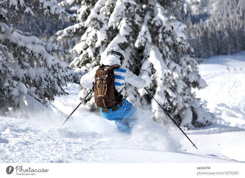 Skier skiing off piste. Powder. Freeski. freeride Vacation & Travel Tourism Trip Adventure Freedom Expedition Winter Snow Winter vacation Mountain Sports