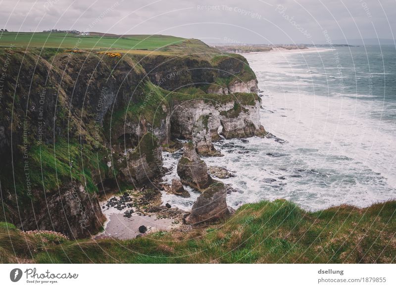 beach vacation. Nature Landscape Spring Summer Autumn Beautiful weather Bad weather Wind Gale Meadow Hill Coast Bay Reef North Sea Ocean Island Fresh Healthy