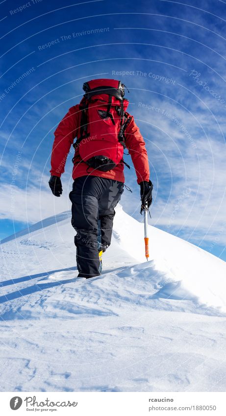 Mountaineer walks on the summit of a snowy peak Vacation & Travel Adventure Expedition Winter Snow Hiking Sports Climbing Mountaineering Success Human being Man
