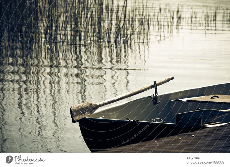 _ Leisure and hobbies Vacation & Travel Freedom Summer Nature Water Lakeside Rowboat Footbridge Relaxation To swing Dream Blue Brown Gold White Moody