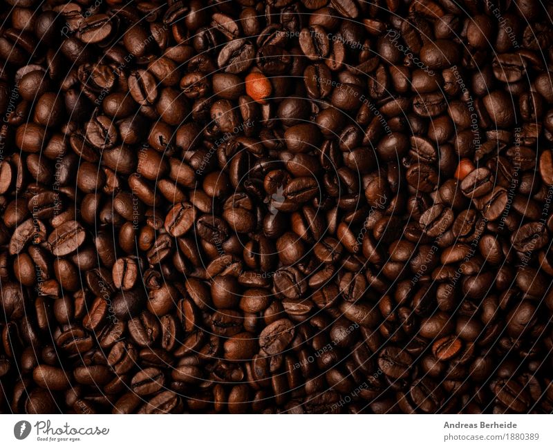 Many espresso beans Beverage Coffee Espresso Fragrance Delicious Brown cup Background picture Café Aromatic breakfast caffeine table fresh hot morning grain