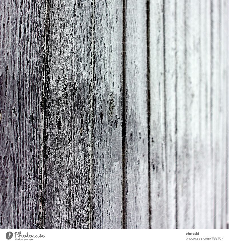 chill Winter Ice Frost Wall (barrier) Wall (building) Garden Fence Garden fence Wood Black White Wood grain Wooden board Hoar frost Subdued colour Exterior shot
