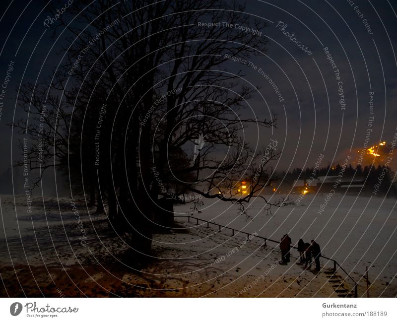 Fire & Shadow Winter Snow Winter vacation Mountain Human being Group Landscape Elements Night sky Ice Frost Tree Meadow Field Alps Threat Dark Creepy Black Fear