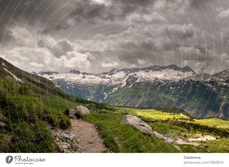Thundery, mountain landscape with storm clouds Mountain Hiking Landscape Plant Storm clouds Summer Climate change Bad weather Snow Grass Alps Snowcapped peak