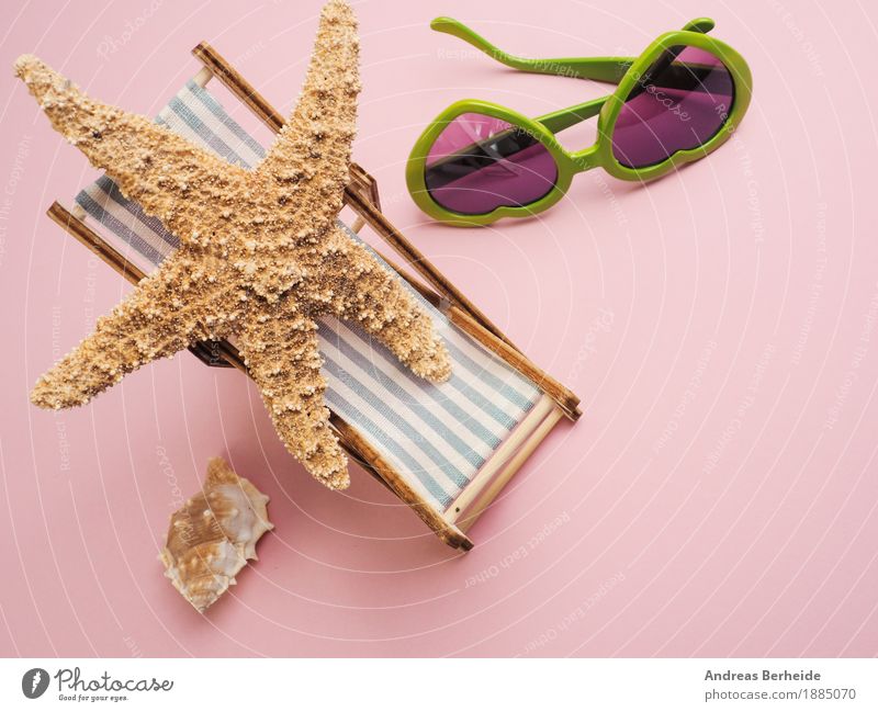 I need a holiday ... Vacation & Travel Summer Beach Relaxation Joy concept starfish view traveling vacation sea sunglasses tropical leisure deckchair Mussel
