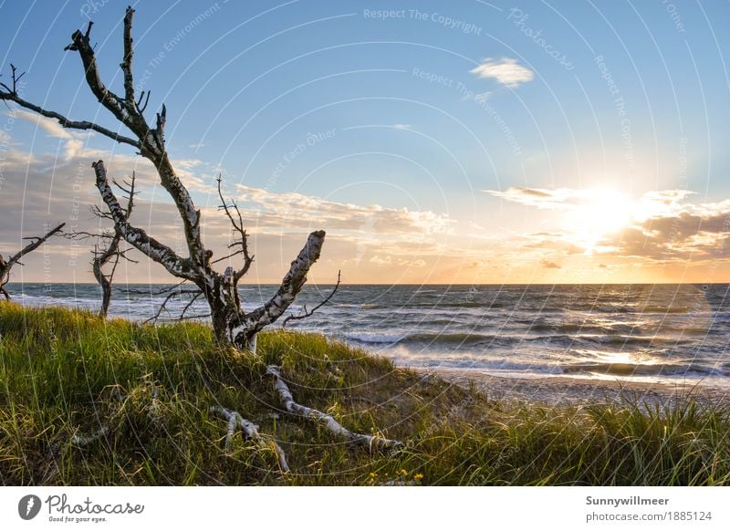Sunset at the Baltic Sea Environment Nature Landscape Plant Water Sunlight Summer Wind Waves Coast Beach Ocean Observe Love Vacation & Travel Esthetic Authentic