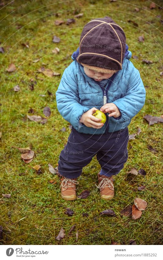 apple Fruit Apple Human being Child Toddler Boy (child) Family & Relations Infancy 1 Autumn Blue Cap Discover Eating Healthy Eating Stand Small Delicious