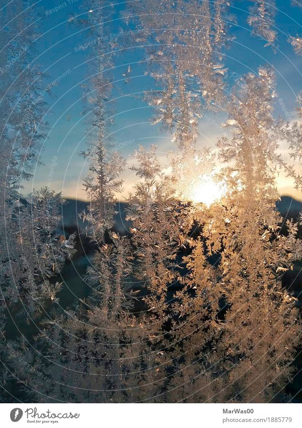 Ice vs. Sun Nature Elements Sky Cloudless sky Horizon Sunrise Sunset Sunlight Winter Beautiful weather Frost Hill Alps Mountain Ice crystal Crystal Looking