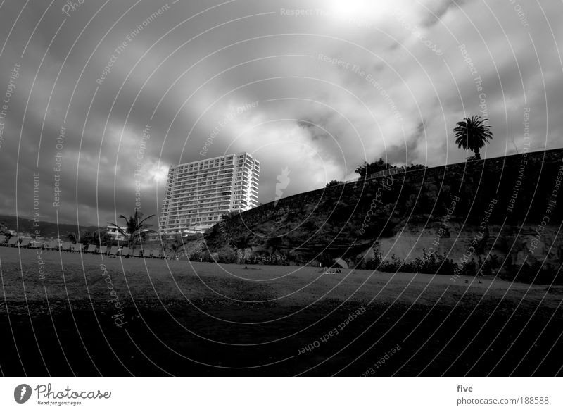 tenerife. Environment Nature Sand Sky Clouds Summer Tree Ocean House (Residential Structure) Lie Warmth Black White Tenerife Spain Beach Sunbathing Hotel