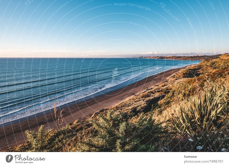 raglan Nature Landscape Water Cloudless sky Summer Coast Beach Ocean Tasman sea Freedom Peace Travel photography New Zealand Waves Blue Beige North Island