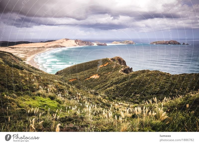 cape reinga Nature Landscape Sand Water Clouds Storm clouds Summer Bushes Waves Beach Bay Ocean Pacific Ocean Blue Yellow New Zealand North Island Colour photo