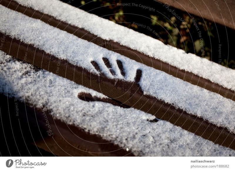 first snow Environment Nature Winter Climate Beautiful weather Snow Park Wood Crystal Footprint Esthetic Cold New Brown Silver White Moody Joy Romance Calm