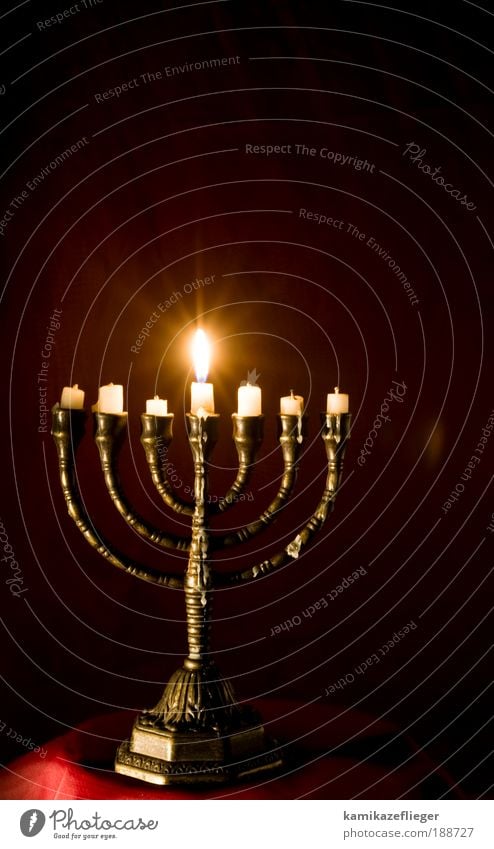 menorah Candle Candlelight Candle holder Candlelit ambience Religion and faith Judaism Emotions Moody Safety (feeling of) To console Mystic Belief Colour photo