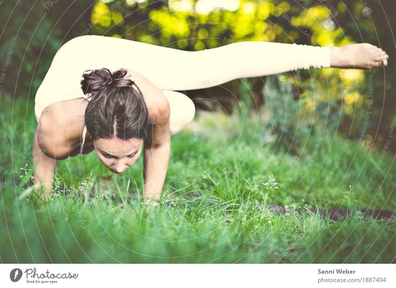yoga pose Lifestyle Healthy Athletic Well-being Contentment Meditation Yoga Human being Feminine Woman Adults 1 30 - 45 years Nature Summer Beautiful weather