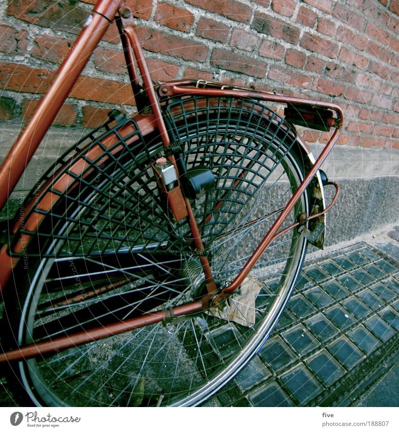 Red Dragon Copenhagen Denmark Wall (barrier) Wall (building) Means of transport Bicycle Driving Joy Wheel Ground Spokes Brick Colour photo Exterior shot Detail