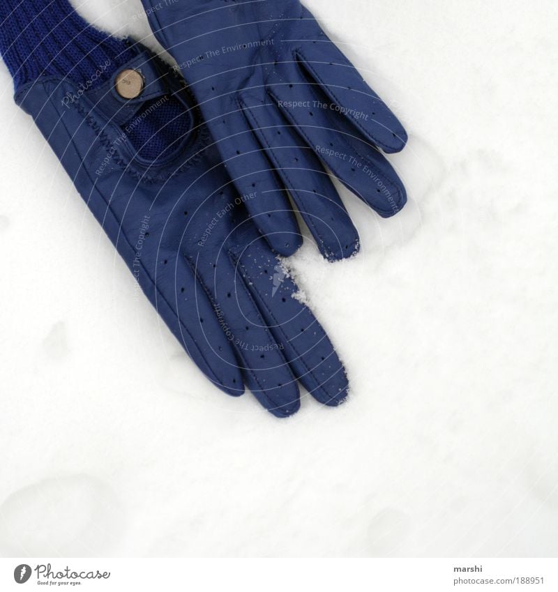 lost my gloves Style Nature Winter Weather Ice Frost Snow Blue White Doomed Lie Gloves Hip & trendy Loneliness Search Cold Attract Colour photo Exterior shot