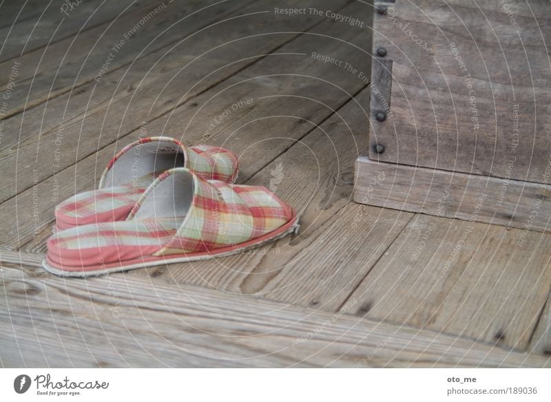 housekeeping Slippers Wood Wooden floor Checkered Old Shabby Shuffle Gray Colour photo Shoe shop Footwear faded