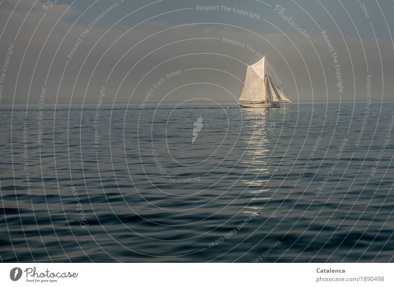 Standstill, sailboat on horizon in calm weather Vacation & Travel Freedom Summer Summer vacation Sailing Beautiful weather North Sea Yacht Sailboat Glittering