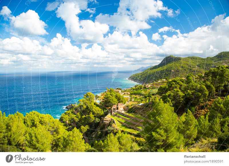 Coastline, Palma de Mallorca Nature Plant Water Sky Summer Garden Ocean Vacation & Travel Fresh Natural Original Positive Strong Wild Blue Green White Happiness