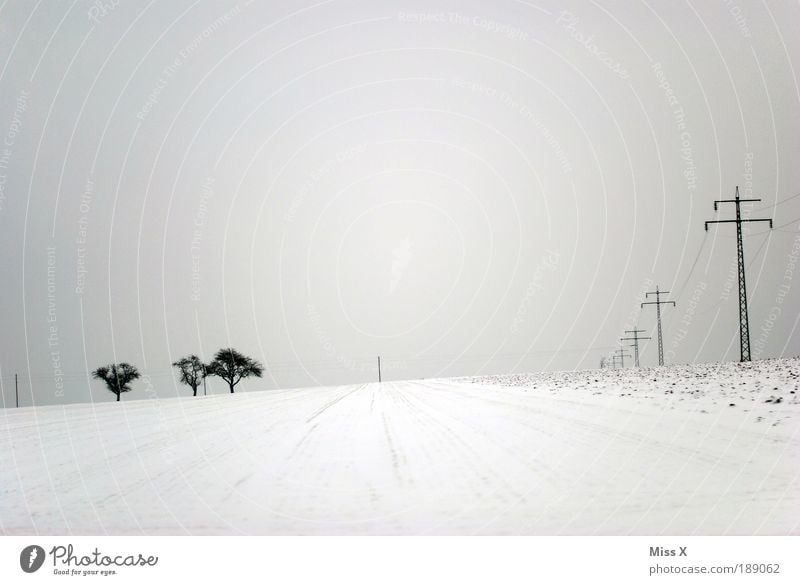 Tracks in the snow Winter Snow Winter vacation Hiking Bad weather Ice Frost Infinity Bright Cold Electricity pylon Tree Field Loneliness Black & white photo