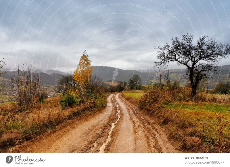 Muddy ground after rain in mountains. rural dirt road Vacation & Travel Tourism Trip Adventure Far-off places Mountain Nature Landscape Earth Sky Clouds Autumn