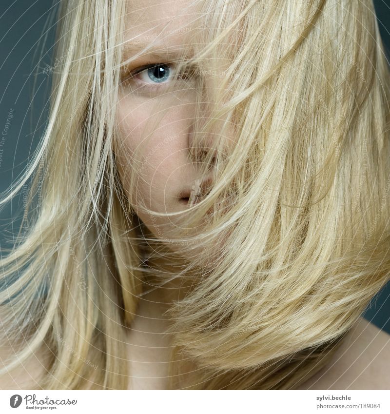 hair Feminine Young woman Youth (Young adults) Hair and hairstyles Eyes Nose Blonde Long-haired Beautiful Soft Resolve Looking Flying Movement Strand of hair