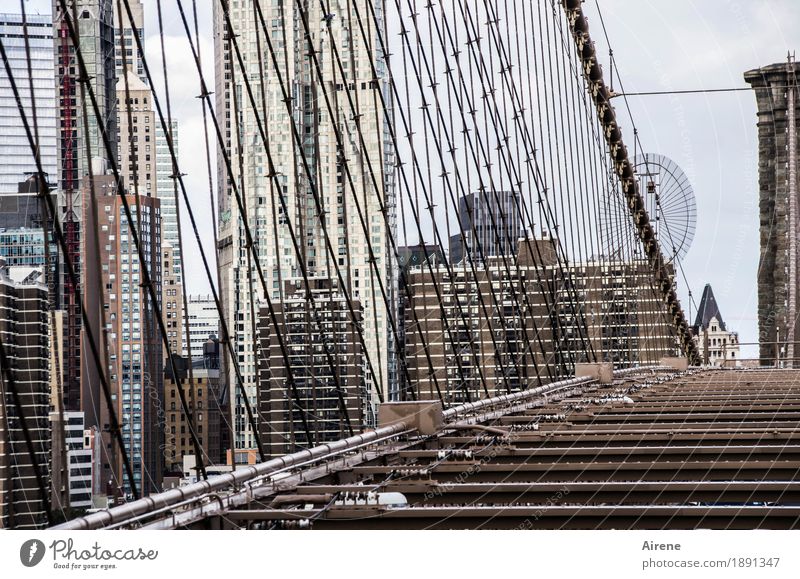 wire entanglement New York City Americas Town Downtown Skyline High-rise Bridge Suspension bridge Facade Prop Rope Steel cable Wire cable Crossbeam