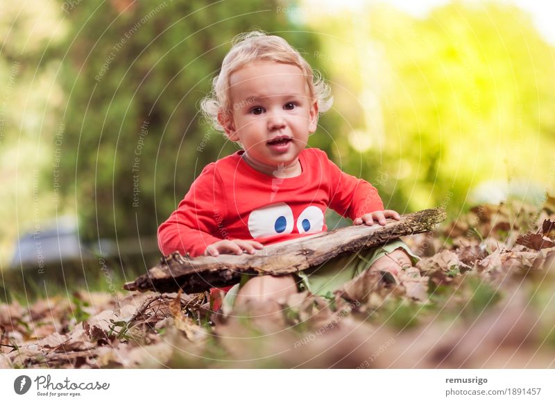 Child playing in the leaves Joy Happy Leisure and hobbies Playing Human being Baby Toddler Boy (child) Infancy Nature Autumn Leaf Park Happiness Small Cute