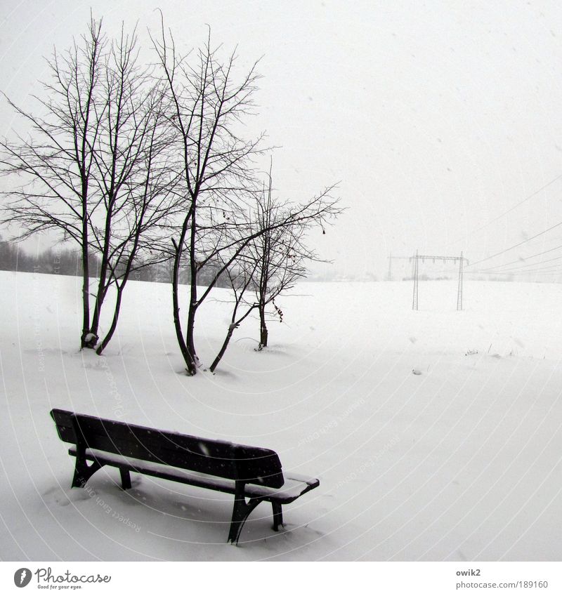 Cool view Winter Snow Technology High-tech Energy industry Electricity Electricity pylon High voltage power line Environment Nature Landscape Horizon Climate