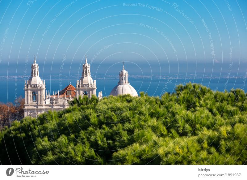 Monastery São Vicente de Fora and the Pantheon in Lisbon Vacation & Travel Sightseeing City trip Plant Cloudless sky Horizon Beautiful weather Tree Ocean