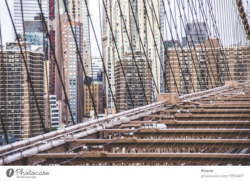 ADVENTURE PLAYGROUND New York City Manhattan Downtown Skyline House (Residential Structure) High-rise Bridge Architecture Tourist Attraction Brooklyn Bridge