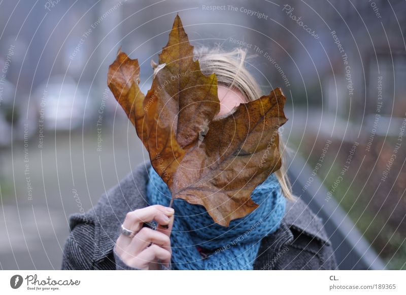 sheet in front of head Human being Feminine Head Hair and hairstyles Face Hand 1 Environment Nature Autumn Winter Bad weather Wind Leaf Observe Discover
