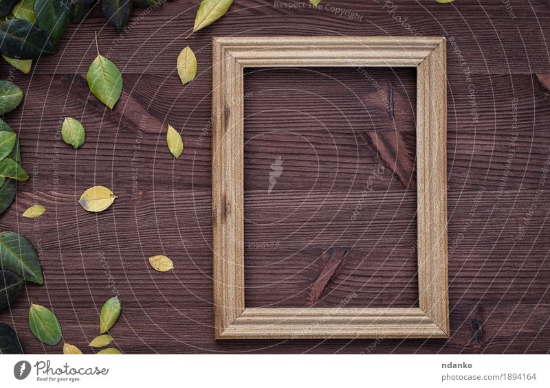 Empty wooden frame on brown wood surface Design Decoration Table Blackboard Plant Autumn Leaf Places Wood Old Dirty Fresh Retro Brown Yellow Green background