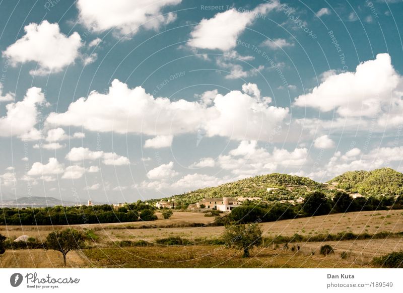 Tuscany? (Made in Spain) Summer Summer vacation Sun Island Nature Landscape Sky Clouds Beautiful weather Warmth Meadow Field Hill Natural Dry Happiness Freedom