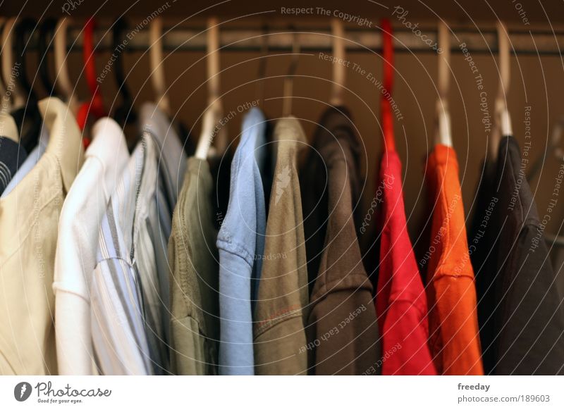 ::: You thin shirt! ::: Closet Shirt Cupboard Clothing stairways Tidy up Arrangement Hanger Attract Design Retail sector colored out T-shirt combination Fashion